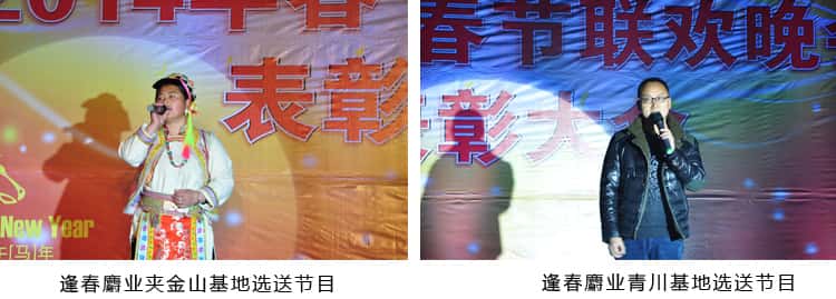 w88win优德·(中国)手机版官网